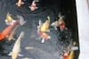 The koi pond of ZOOM 3  46 