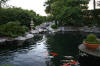 Garden party in Germany - le bassin - the pond 2  29 