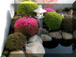 Bassin a ko et jardin Japonais Richert 1 - suite 2  9 