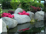 Bassin a ko et jardin Japonais Richert 2 - les finitions  23 