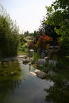 Un bassin et jardin exemplaire 2  49 