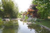 Un bassin et jardin exemplaire 2  44 