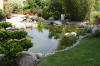 Un bassin et jardin exemplaire 2  29 