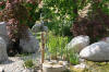 Un bassin et jardin exemplaire 2  20 