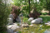 Un bassin et jardin exemplaire 2  18 