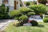 Un bassin et jardin exemplaire 2  14 