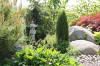 Un bassin et jardin exemplaire 2  9 