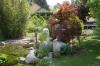 Un bassin et jardin exemplaire 3  48 