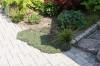 Un bassin et jardin exemplaire 3  43 