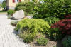 Un bassin et jardin exemplaire 3  39 