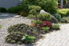 Un bassin et jardin exemplaire 3  30 