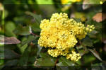 Le bassin de jardin d'Aquatechnobel de jour 3  5 