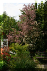 Le bassin de jardin d'Aquatechnobel de jour 6  51 