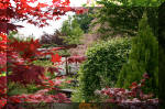 Le bassin de jardin d'Aquatechnobel de jour 6  20 