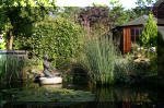 Le bassin de jardin d'Aquatechnobel de jour 8  12 