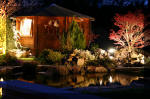 Le bassin de jardin d'Aquatechnobel la nuit 2  37 