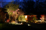 Le bassin de jardin d'Aquatechnobel la nuit 2  27 