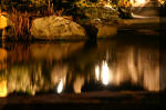 Le bassin de jardin d'Aquatechnobel la nuit 2  6 