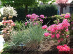 Le bassin de jardin d'Aquatechnobel fontaine 2  11 