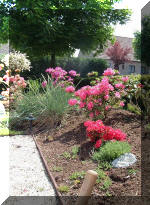 Le bassin de jardin d'Aquatechnobel fontaine 2  2 