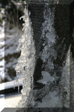 Le bassin de jardin d'Aquatechnobel fontaine 3  11 