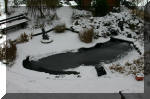 Le bassin de jardin d'Aquatechnobel l'hiver  2 