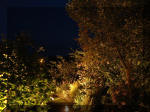 Le bassin de jardin d'Aquatechnobel la nuit 1  15 