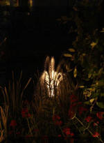 Le bassin de jardin d'Aquatechnobel la nuit 1  11 