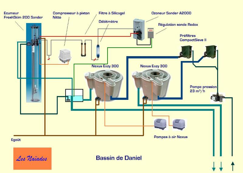 Le bassin de jardin mixte de Daniel (2007) Le schma de la filtration  2 