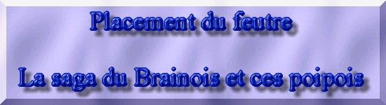 Rhabiltation d'un bassin du Branois - Placement du feutre    1 