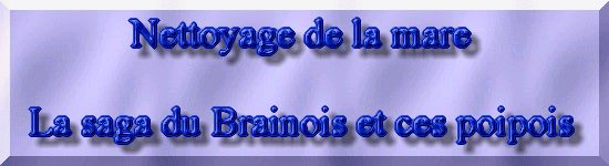 Rhabiltation d'un bassin du Branois - Le nettoyage du bassin    1 