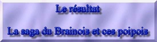 Rhabiltation d'un bassin du Branois - le rsultat final   1 