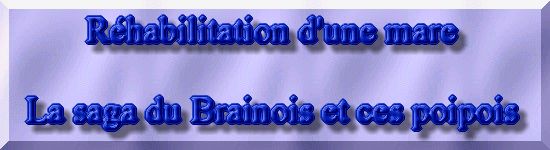 Rhabiltation d'un bassin du Branois - tat des lieux   1 