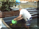 Le jardin aquatique du Brainois pose de polyester  21 