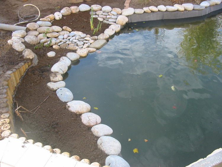 Amnagement du jardin aquatique de Patrick - les abords  2 