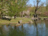 Le jardin Japonais de Hasselt - le printemps 2  22 