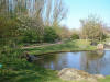 Le jardin Japonais de Hasselt - le printemps 2  25 