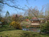 Le jardin Japonais de Hasselt - le printemps 2  32 