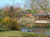 Le jardin Japonais de Hasselt - le printemps 2  33 