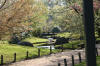 Le jardin Japonais de Hasselt - le printemps 3  14 