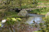 Le jardin Japonais de Hasselt - le printemps 3  34 