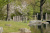 Le jardin Japonais de Hasselt - le printemps 3  35 