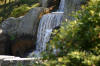 Le jardin Japonais de Hasselt - le printemps 3  40 