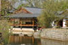 Le jardin Japonais de Hasselt - le printemps 4  39 