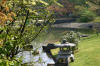 Le jardin Japonais de Hasselt - le printemps 2  12 