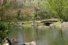 Le jardin Japonais de Hasselt - le printemps 2  28 