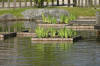 Le jardin Japonais de Hasselt - le printemps 2  29 