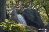 Le jardin Japonais de Hasselt - le printemps 2  43 