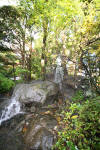 Japan garden in Izumo page 3  18 