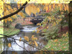 Jardin Japonais de Hasselt